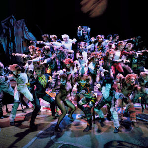 Uk Tour 2016 Gallery 2017 Cats Musical Wiki Fandom