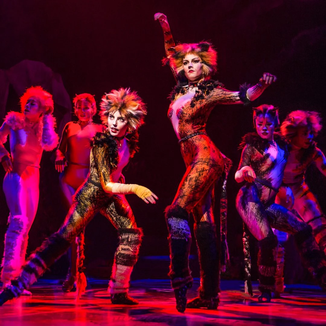 Kim Faure | 'Cats' Musical Wiki | Fandom