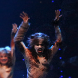 Pouncival | 'Cats' Musical Wiki | FANDOM powered by Wikia