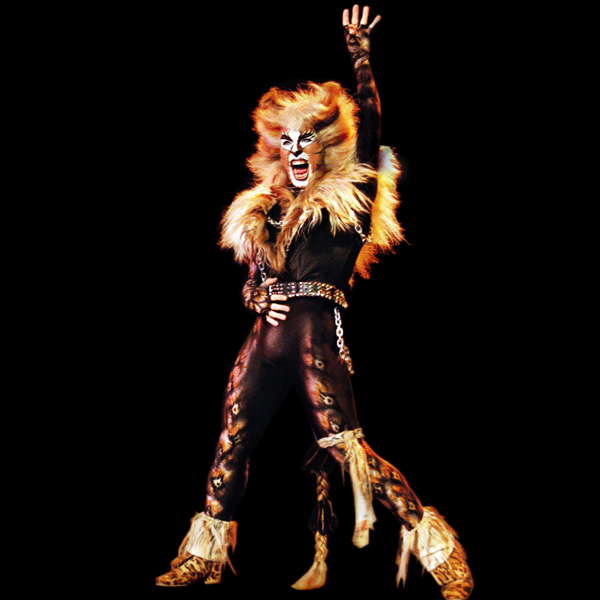 Rum Tum Tugger (Rockstar) | 'Cats' Musical Wiki | FANDOM ...