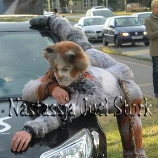 Nils Haberstroh | 'Cats' Musical Wiki | Fandom