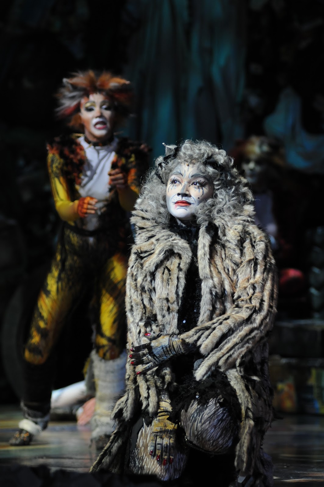  Grizabella  the Glamour Cat  Cats  Musical  Wiki Fandom