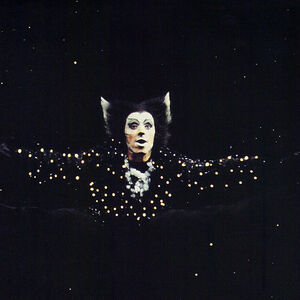 Amsterdam 1987 Cats Musical Wiki Fandom