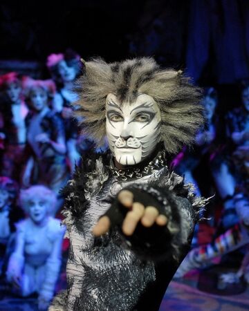 Uk Tour 2003 2009 Cats Musical Wiki Fandom