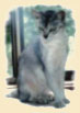 Cat11