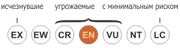 240px-Status iucn3 1 EN ru svg