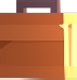 Case