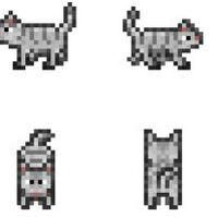 Version History Cattails Game Wiki Fandom