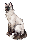 https://vignette.wikia.nocookie.net/catwar-porch/images/1/19/23-0.png/revision/latest?cb=20170319172007&amp;path-prefix=ru