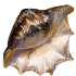310