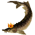 313