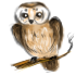 Сова