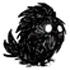 66