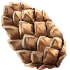 332