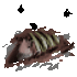 44