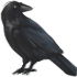 396