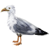 89