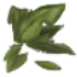 131