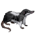 232