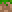 Dirt block3