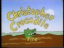 christopher pm crocodile