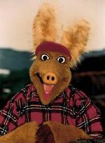 Otis the Aardvark