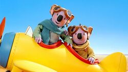 The Koala Brothers