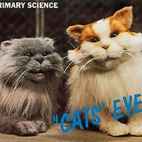 Cats Eyes Cbbc Fandom
