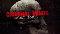 Criminal minds beyond borders