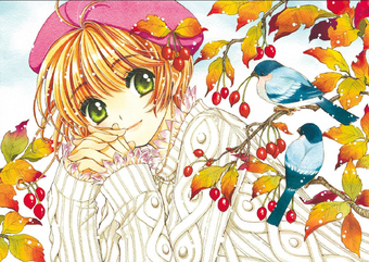 Clear Card Arc Chapter 39 Cardcaptor Sakura Wiki Fandom