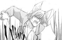 Tayurafox