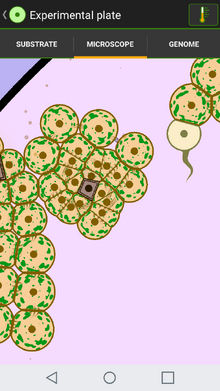 UPKCexploding2