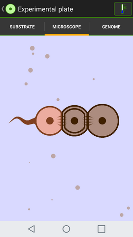 File:Screenshot 2018-03-15-06-53-46.png