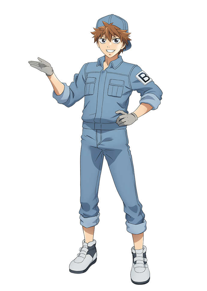 B Cell | Cells at Work! Wiki | FANDOM powered by Wikia