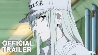 Cells At Work Wiki Fandom