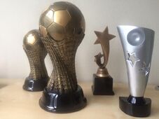 AWARDS