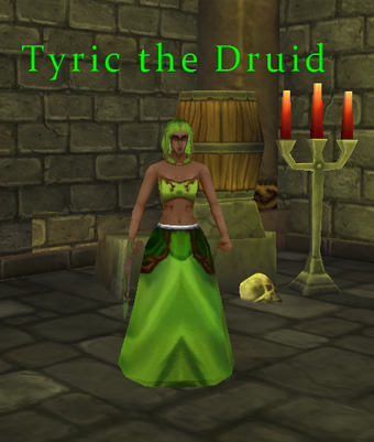 Tyric The Druid Celtic Heroes Fanatics Wiki Fandom