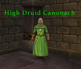 High Druid Canonach Celtic Heroes Fanatics Wiki Fandom