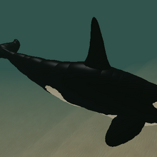 Orca Cenozoic Survival Roblox Wiki Fandom - cenozoic roblox