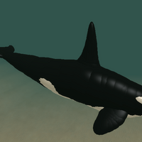 Orca Cenozoic Survival Roblox Wiki Fandom - dinogojiraguy cenozoic survival roblox wiki fandom