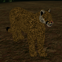 Eastern Cougar Cenozoic Survival Roblox Wiki Fandom - cenozoic roblox