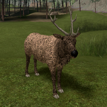 Eastern Elk Cenozoic Survival Roblox Wiki Fandom - cenozoic roblox