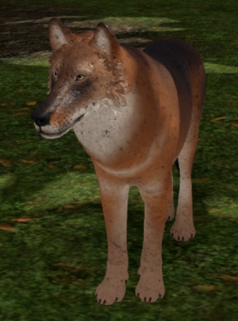 Dire Wolf Cenozoic Survival Roblox Wiki Fandom - dire wolf cenozoic survival roblox black wolf tail roblox Dire Wolf Cenozoic Survival Roblox Wiki Fandom - black wolf tail roblox