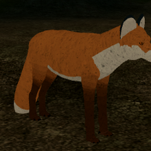 Red Fox Cenozoic Survival Roblox Wiki Fandom