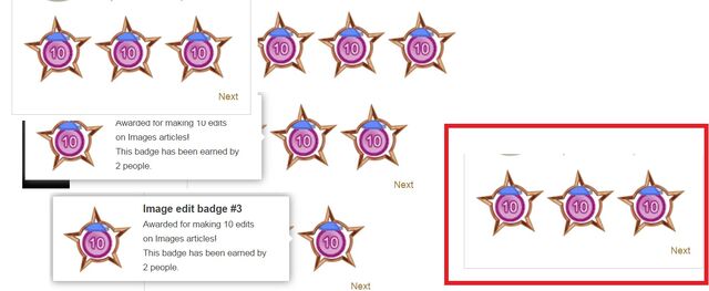 File:BadgesDouble5skn8.jpg