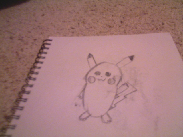 Picture 167