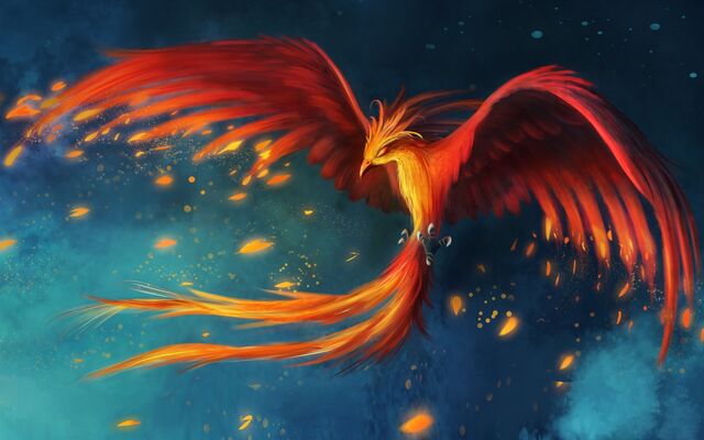 File:Phoenix6.jpg