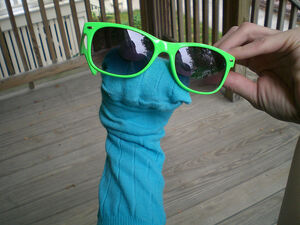 Sockpuppet
