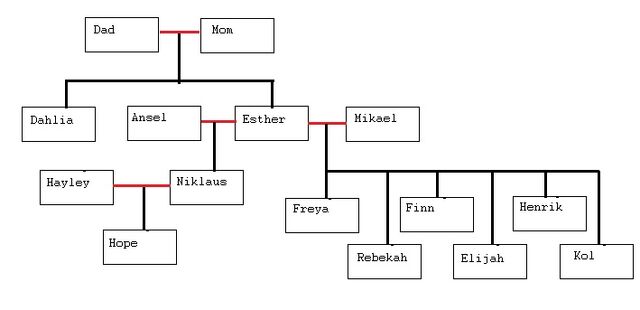 File:VDW Tree.jpg