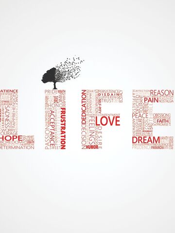 File:Life is Everything.jpeg